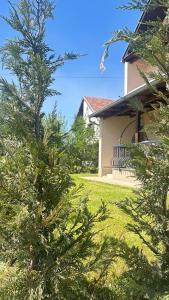a house with a tree in front of a yard at Villa Garden in Prishtinë