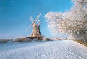a windmill in the middle of a snow covered road at Langeneß Whg 15 Strandtraum in Wyk auf Föhr