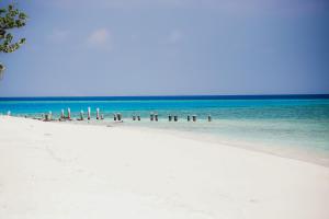 a beach with a group of wooden posts in the water at Arrival Beach and Spa in Gulhi