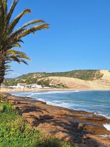 a beach with a palm tree and the ocean at Casa Sol e Sal in Luz