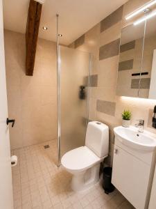 a bathroom with a toilet and a shower and a sink at Paruni Trahteri majutus in Viljandi