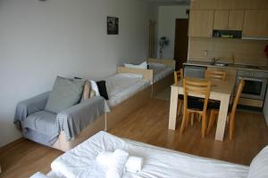 a living room with a couch and a table and a kitchen at Aspen Heights 4 beds studio in Bansko +29 photos