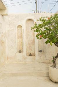 a building with two windows and a tree at CASA NARA BALI in Canggu