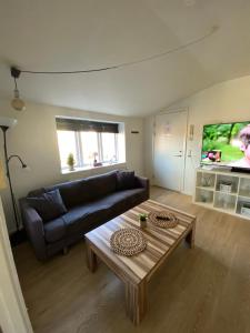 Et tv og/eller underholdning på Vshus Apartment-2 Bedrooms near city center