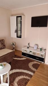 a living room with a couch and a flat screen tv at Apartman Lavanda in Temerin