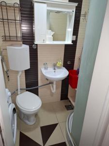 a small bathroom with a toilet and a sink at Visnja in Gornja Toplica