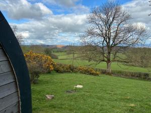 a view of a field with a tree and a house at Hillside Pod in Oswestry