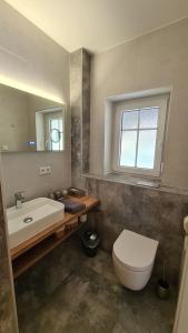 a bathroom with a sink toilet and a mirror at Stara Broznja in Burg