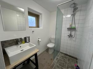 a bathroom with a shower and a sink and a toilet at Privatzimmer auf Pferdehof in Vŭbel