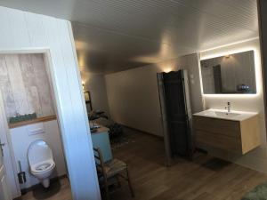 a small bathroom with a sink and a toilet at Studio 80m2 a la ferme tout confort in Courdemanche
