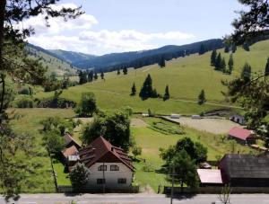 a house in the middle of a green field at Karacsony Guest House in Lunca de Sus +19 photos