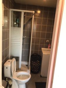 a bathroom with a toilet and a shower at Studio cosy in Orly