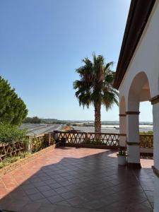 a patio with a palm tree and a view of the ocean at Casa Las Adelfas in Isla Cristina
