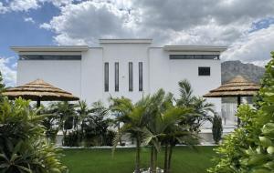 a white building with palm trees in front of it at Sea 300 Villa in Migdal
