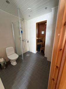 a bathroom with a toilet and a shower at Kilpis-Silent Apartment in Kilpisjärvi +8 photos