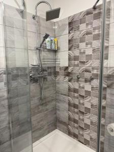 a shower with a glass door in a bathroom at Apartament between the bridges II in Zgorzelec