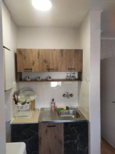 a kitchen with a sink and wooden cabinets at Студио Търговище in Targovishte