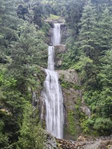 a waterfall in the middle of a forest at Dholadhar Hotel & Restaurant in Barot 