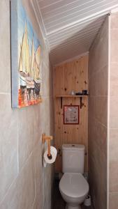 a bathroom with a toilet and a painting on the wall at Maison de pêcheur in Marseillan +16 photos
