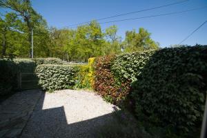 a hedge with a sun shining on it at Les libellules in Andernos-les-Bains