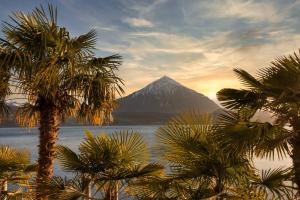 a mountain in the background with palm trees in the foreground at 3Br Topview Interlaken Mountain View Apartment in Unterseen
