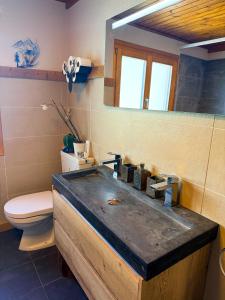 a bathroom with a sink and a toilet and a mirror at La Rose d Eva in Saint-Martin +28 photos