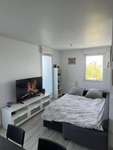 a bedroom with a bed and a flat screen tv at T2 cosy proche Versailles in Trappes