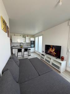 a living room with a couch and a fireplace at T2 cosy proche Versailles in Trappes +9 photos