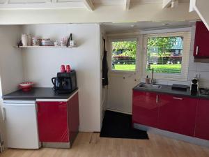 a kitchen with red cabinets and a sink and a window at View at the Lake in Nieuwe-Niedorp