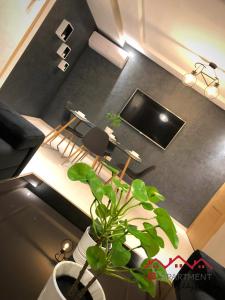 an overhead view of a living room with a potted plant at JB Apartment -B18- in Kenitra