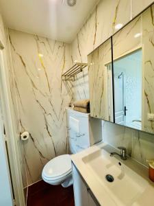 a bathroom with a sink and a toilet and a mirror at Maisonnette au calme-proche Métro in Maisons-Alfort