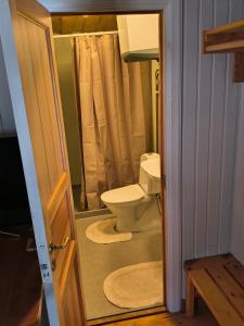 a bathroom with a toilet and a shower at Lilla Åsbo Gård in Husvallsgölen +51 photos