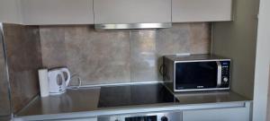 a microwave sitting on a counter in a kitchen at Belgrade Waterfront Sole in Sajmište