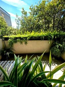 a retaining wall with plants on top of it at Scuderia Split Rooms in Split