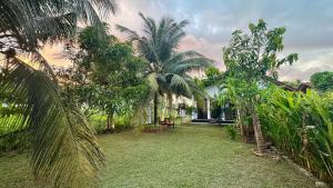 a yard with palm trees and a house at Induruwa Cottage in Induruwa