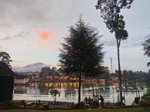 a view of a body of water with a tree at Banyu 2 in Palayangan