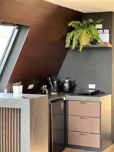 a kitchen with a stove and a counter top at Romantic A-Frame Cabin w/ a View + WiFi in Samal +12 photos