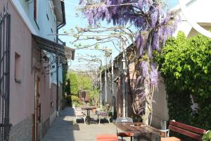 an alley with purple wisteria hanging from a building at FKoka in Berehove