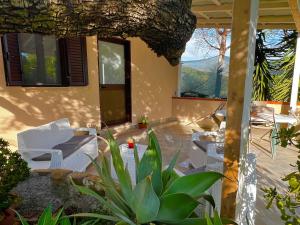 a patio with white chairs and a plant in front of a house at Chalet del girasole in Castellabate