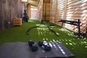 a room with green grass and a treadmill and a table at VILLA FLAKA Boutique Hôtel Wellness in Cargèse