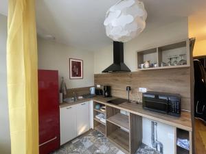 a kitchen with a counter with a microwave at Studio charmant avec terrasse privée in Oradour-sur-Glane
