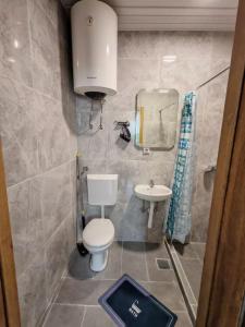 a small bathroom with a toilet and a sink at Pavle Petra apartments in Mitrovići