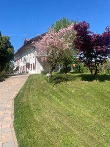 a house with a tree in front of a yard at Casa Riva Us in Dussoi +13 photos