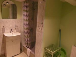 a bathroom with a shower and a sink at Agroturystyka Pod Leszczyną in Wambierzyce