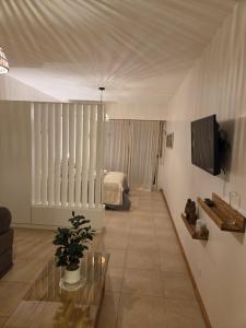 a living room with a couch and a tv at Olivos Calm Stay in Olivos