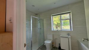 a bathroom with a toilet and a shower and a window at Four Poster Hideaway in Chacombe