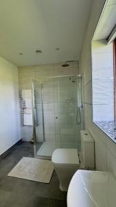 a bathroom with a shower and a toilet and a sink at Four Poster Hideaway in Chacombe