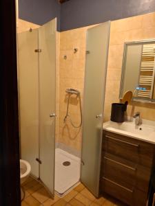 a bathroom with a shower and a sink at le sans soucis in Bellevaux
