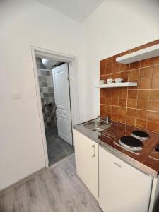 a kitchen with a sink and a counter top at Pavle Petra apartments in Mitrovići +15 photos