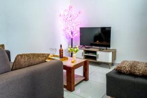 a living room with two couches and a tv at Assinie's apartment in Assinie